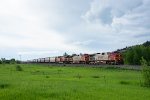 Eastbound Grain under Unsettled Skies